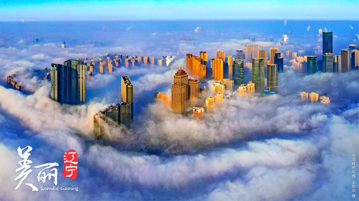 QQ截图20220805164056.png