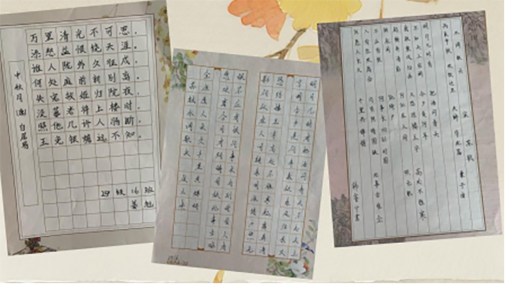 微信图片_2025-10-03_193730_992.png